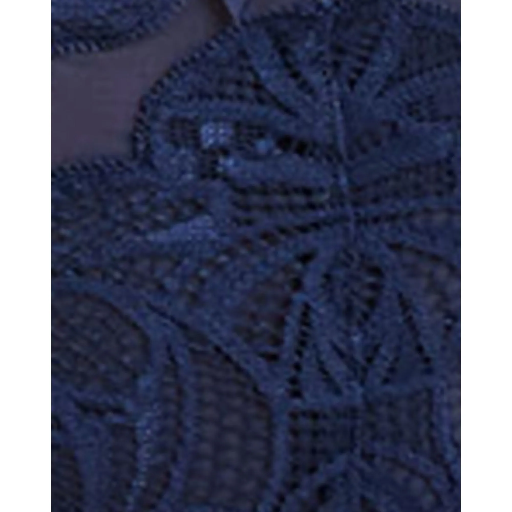 Ariane Lace Brazilian Cut Brief-Marine Blue