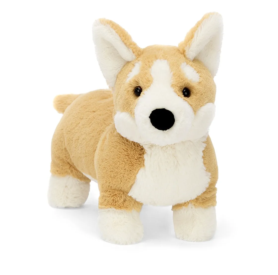 Betty Corgi