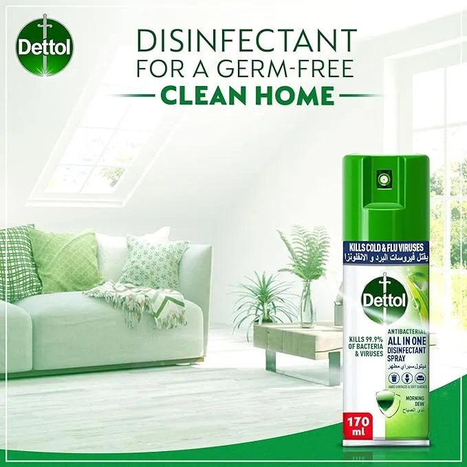 Dettol Spray Mini Morning Dew 170ML