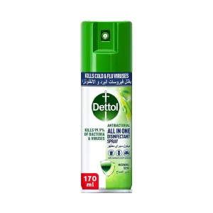 Dettol Spray Mini Morning Dew 170ML