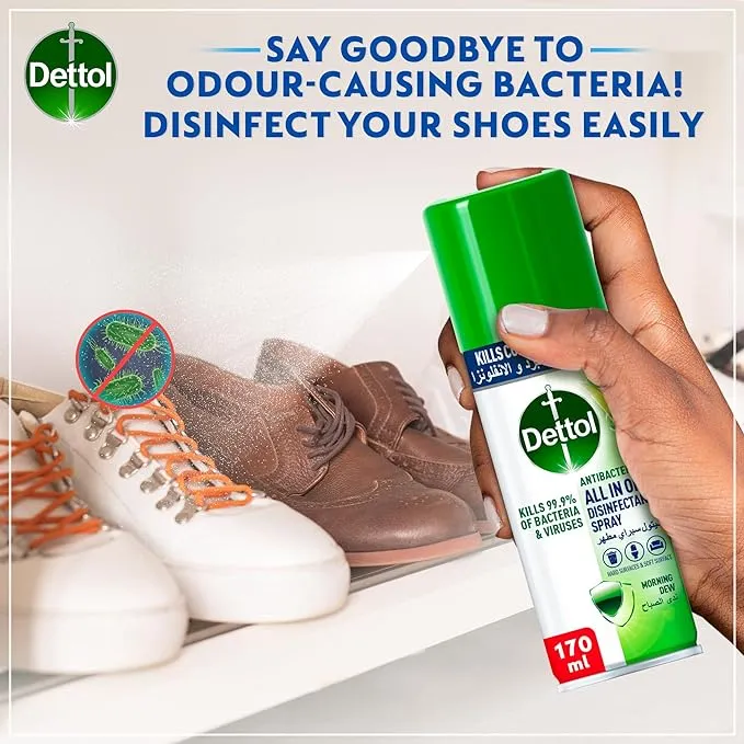 Dettol Spray Mini Morning Dew 170ML