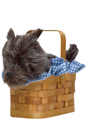 Doggie Basket Handbag Accessory