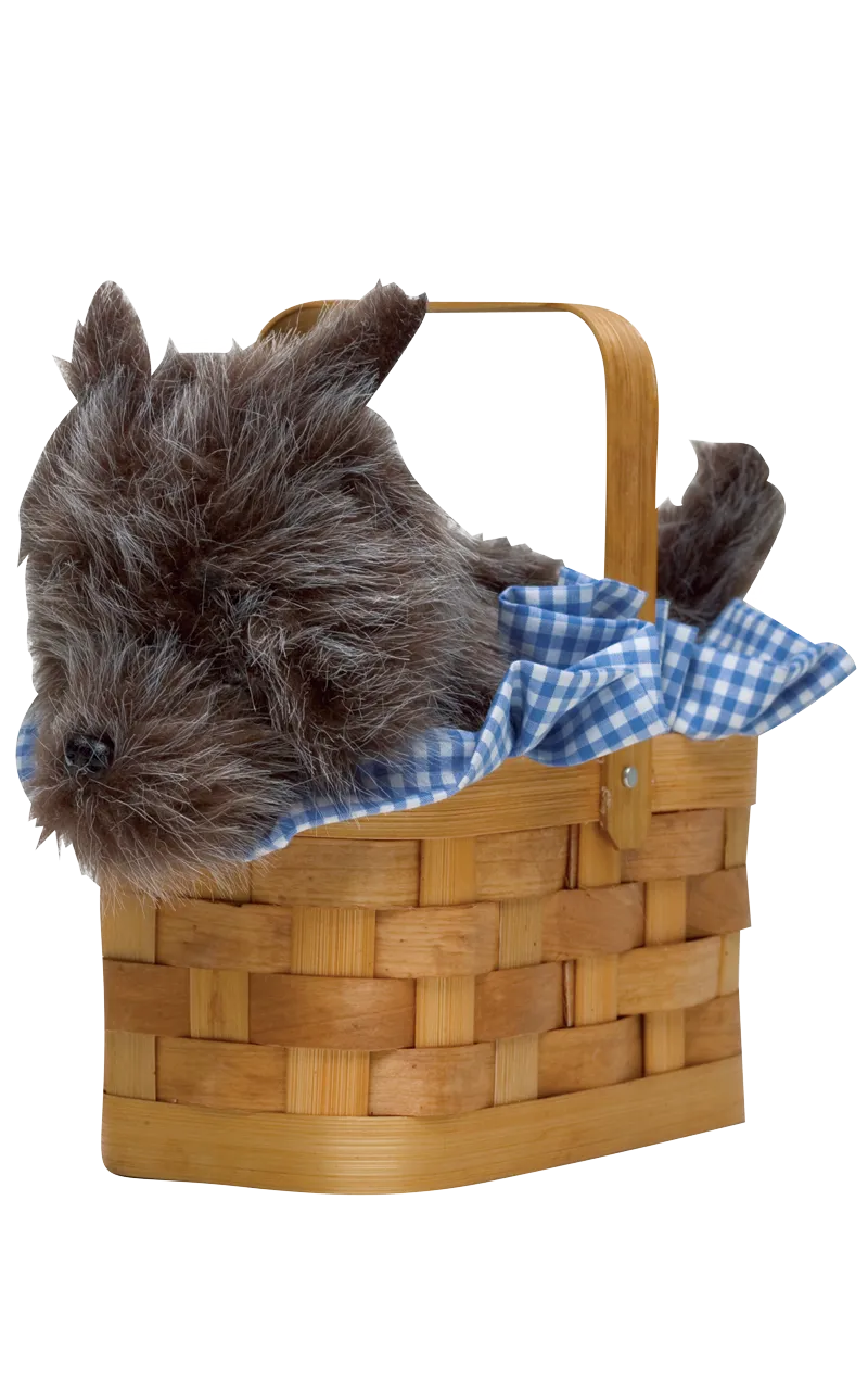 Doggie Basket Handbag Accessory
