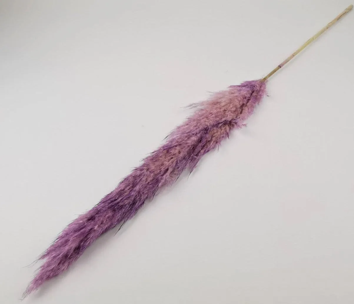 French Purple Pampas Bouquet
