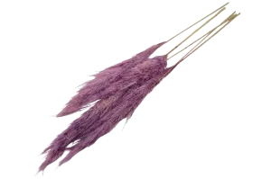 French Purple Pampas Bouquet