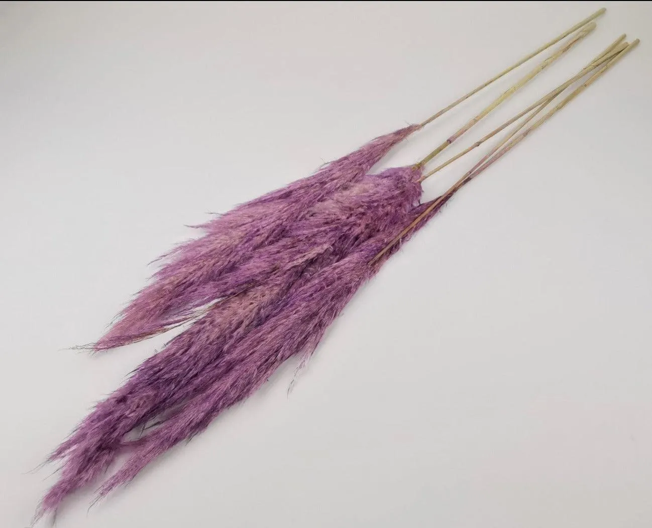 French Purple Pampas Bouquet
