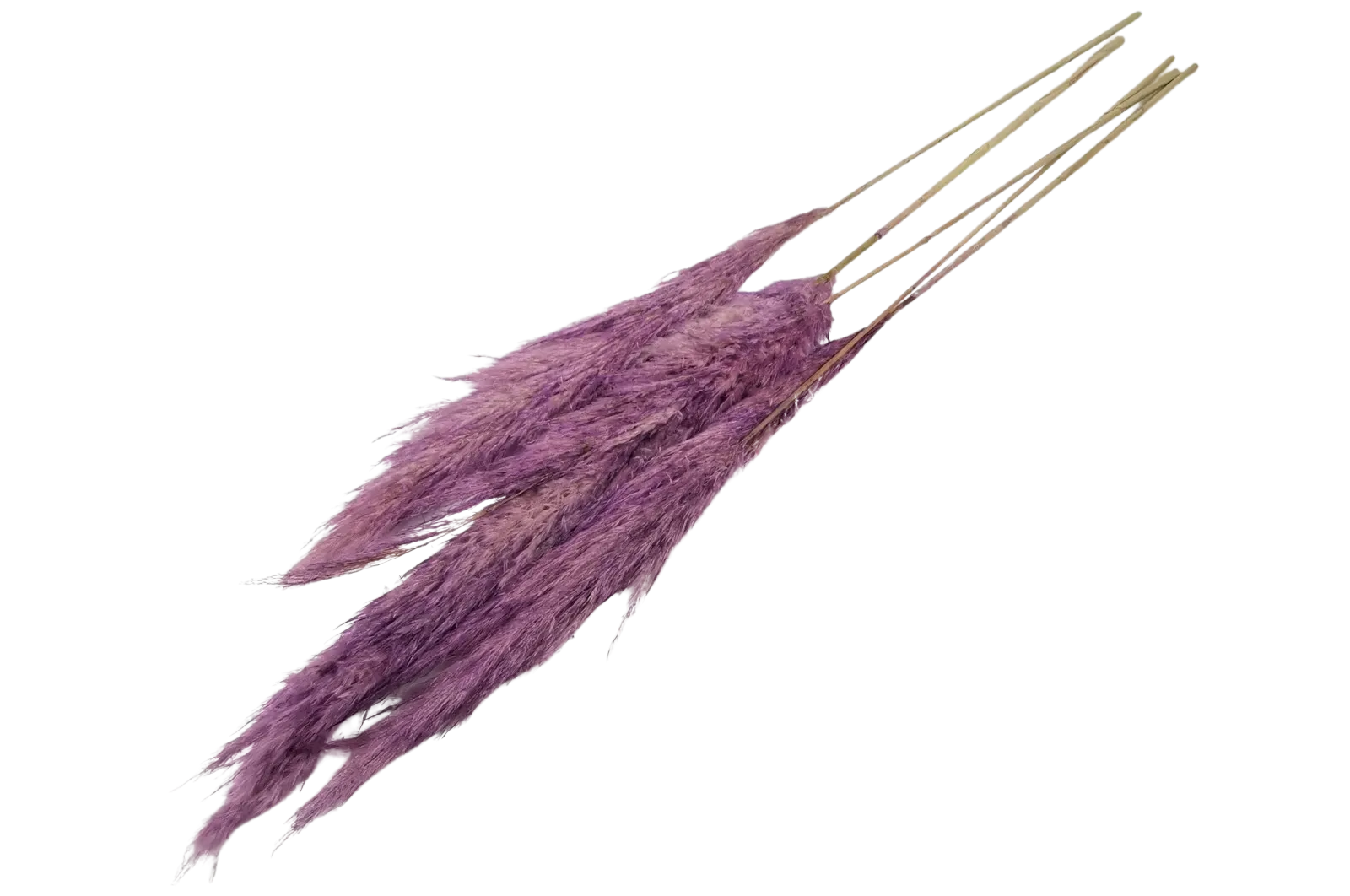 French Purple Pampas Bouquet