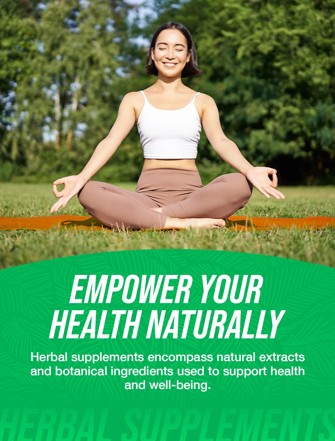 Hibiscus Flower Extract Powder