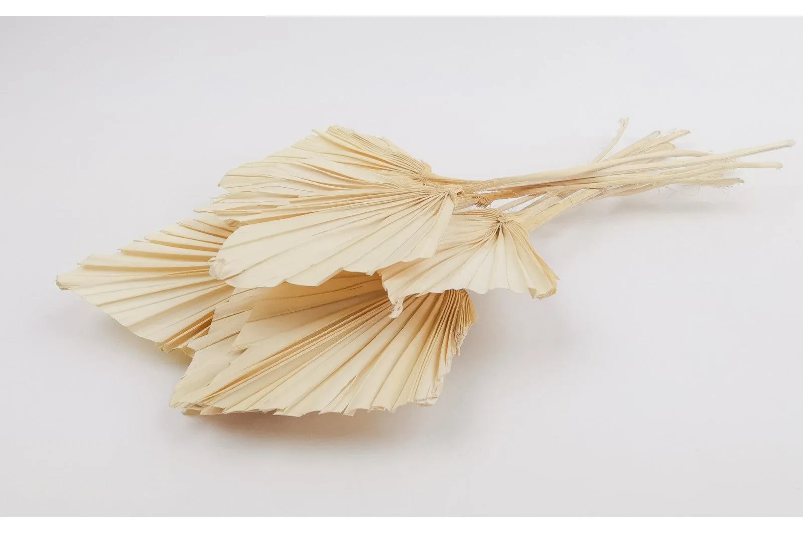 Italian White Mini Palm Spears Bouquet
