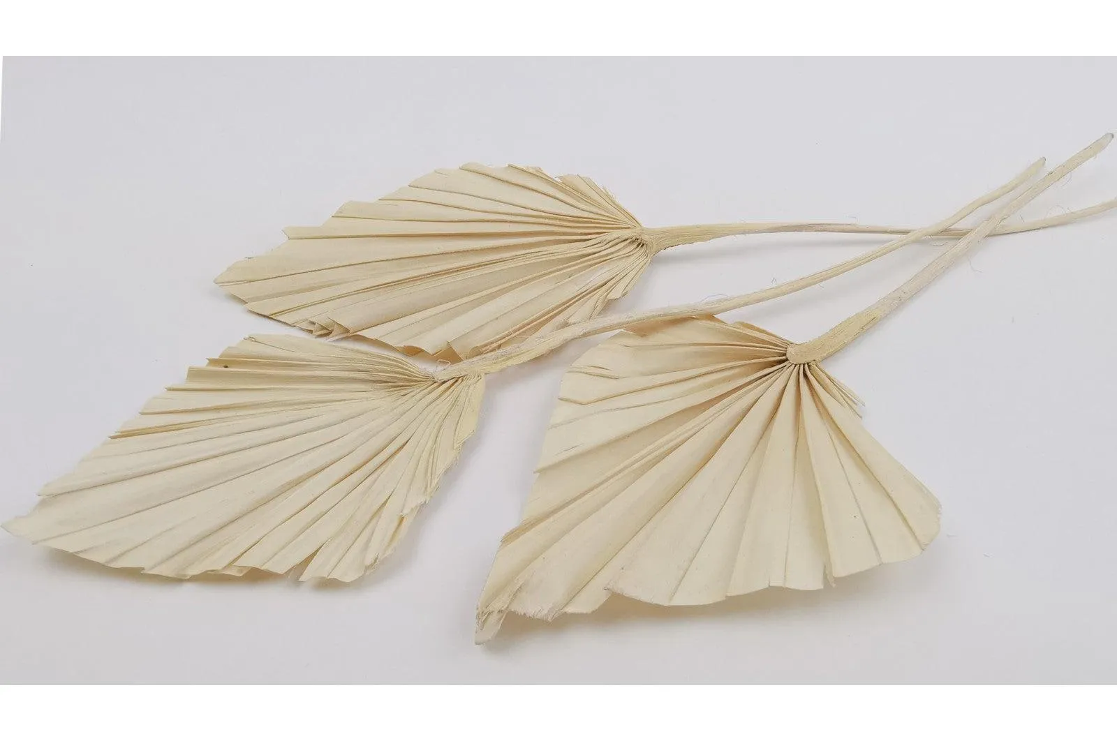 Italian White Mini Palm Spears Bouquet