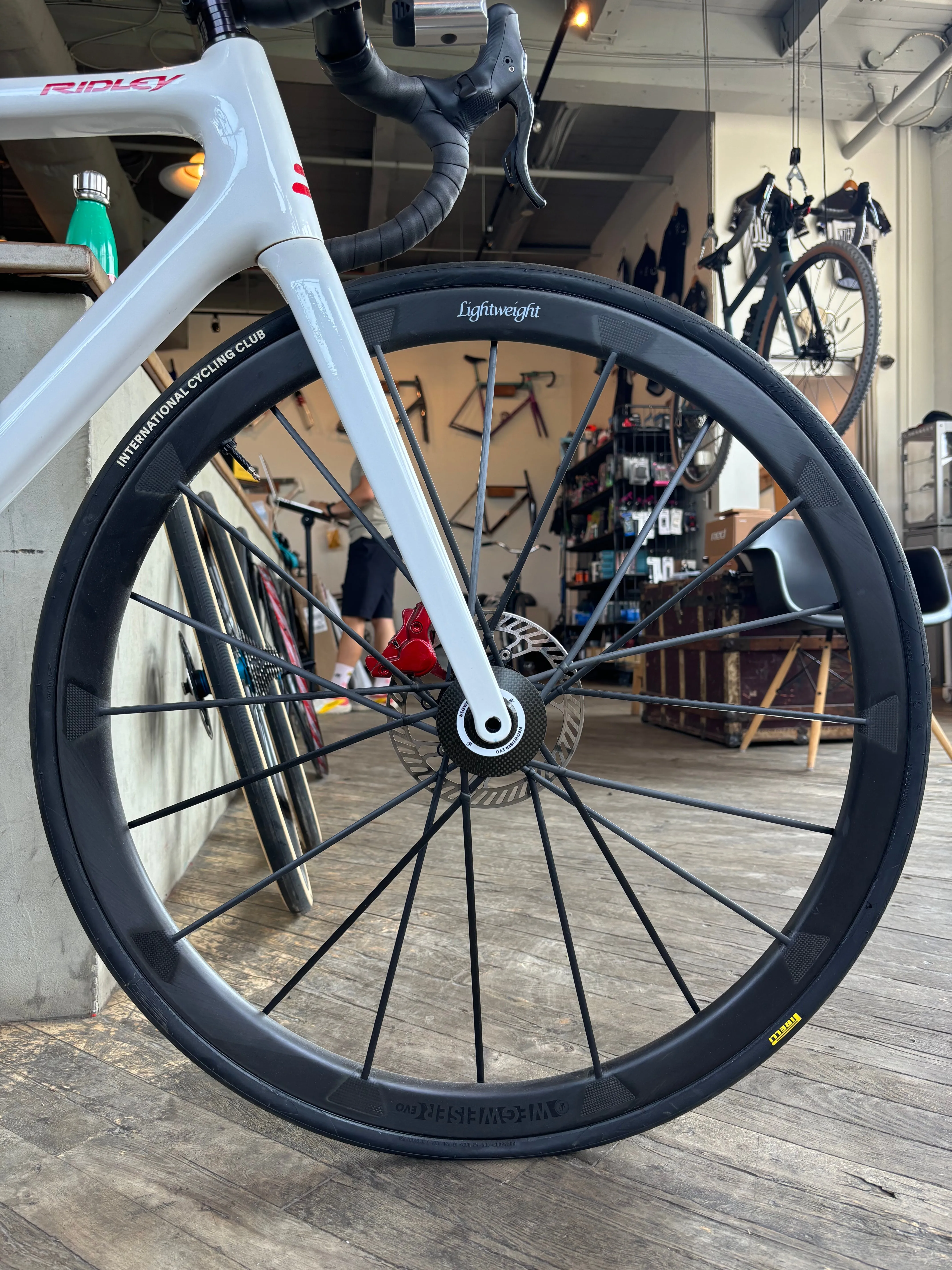 LIGHTWEIGHT Wegweiser Disc DEMO