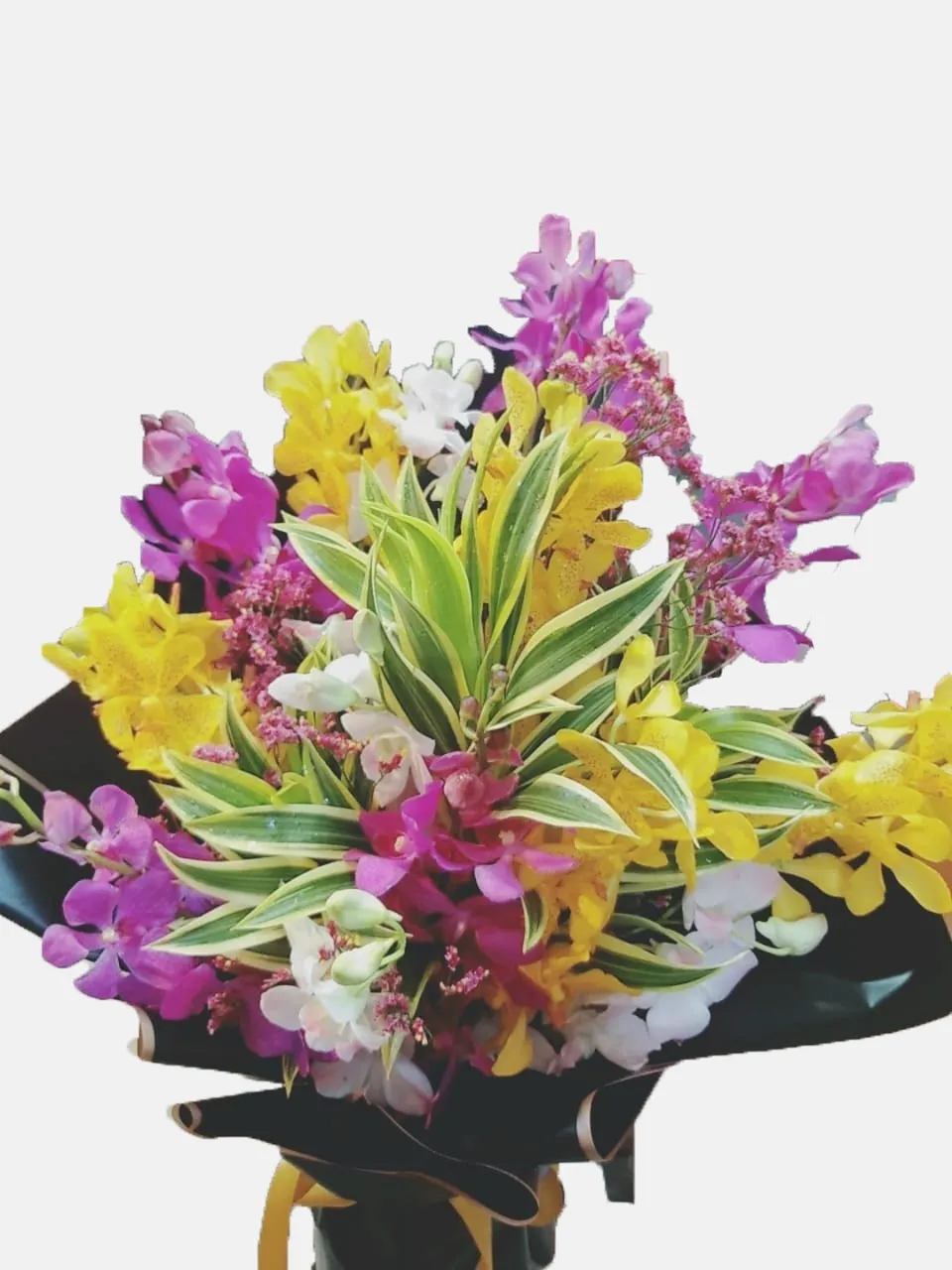 Love Orchids Arrangement