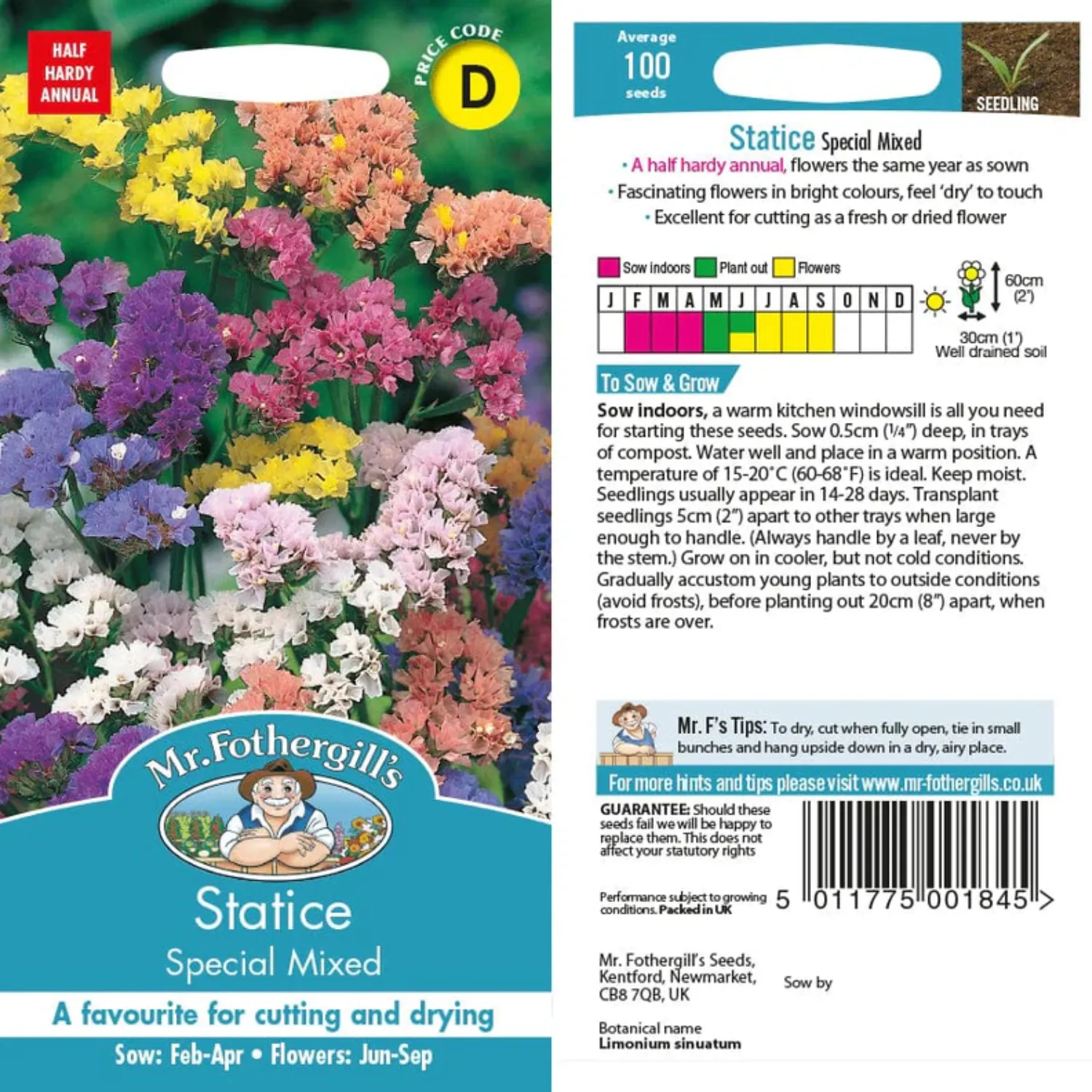 Mr Fothergill's Statice Special Mixed Seeds