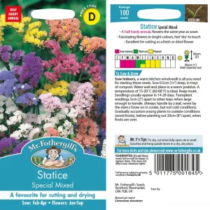 Mr Fothergill's Statice Special Mixed Seeds