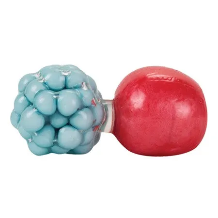 Play Visions® Click Clack & Pearl Gel Duo