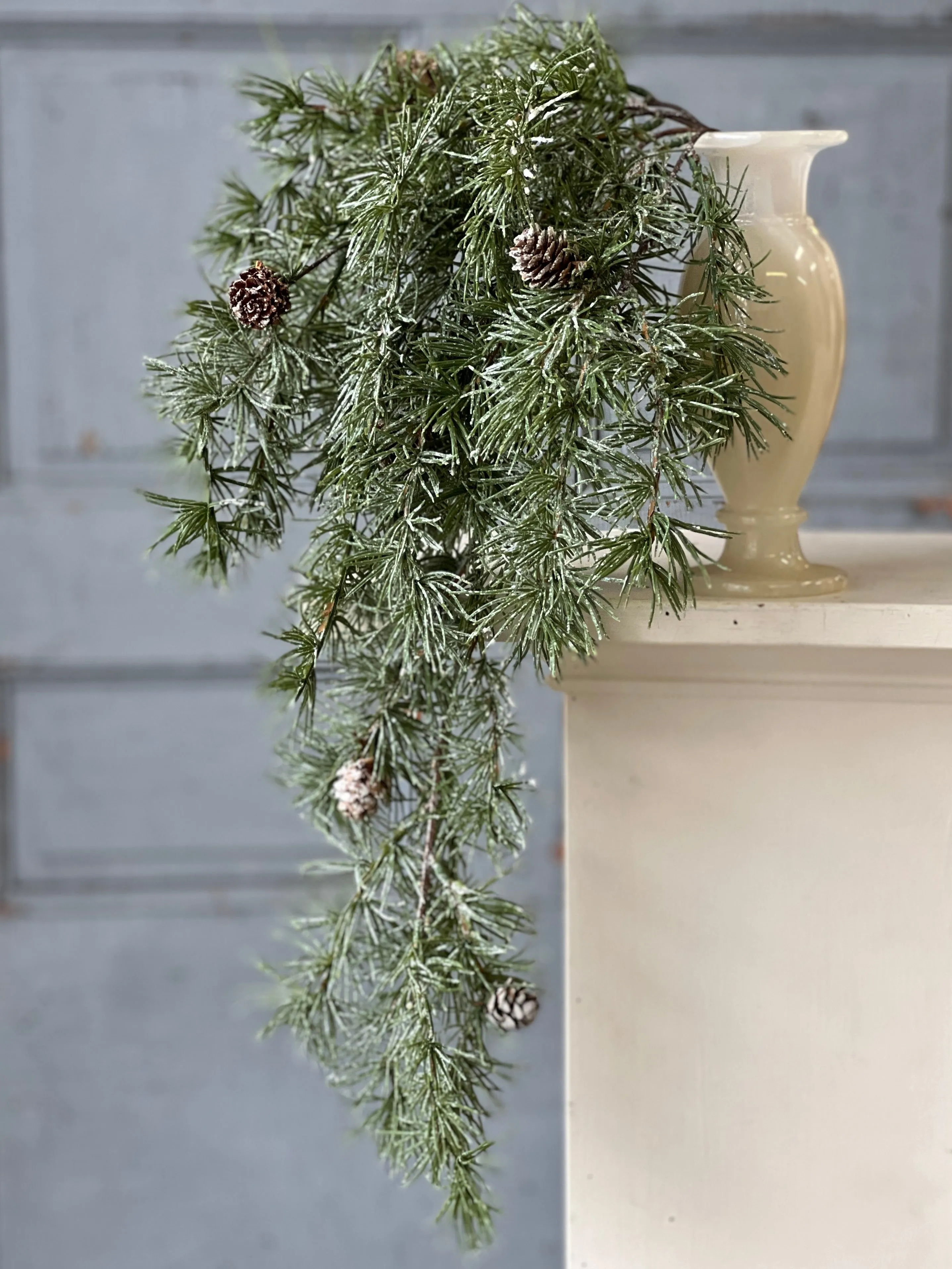 Shining Spindle Pine Hanging | 27"