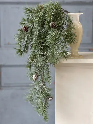 Shining Spindle Pine Hanging | 27"