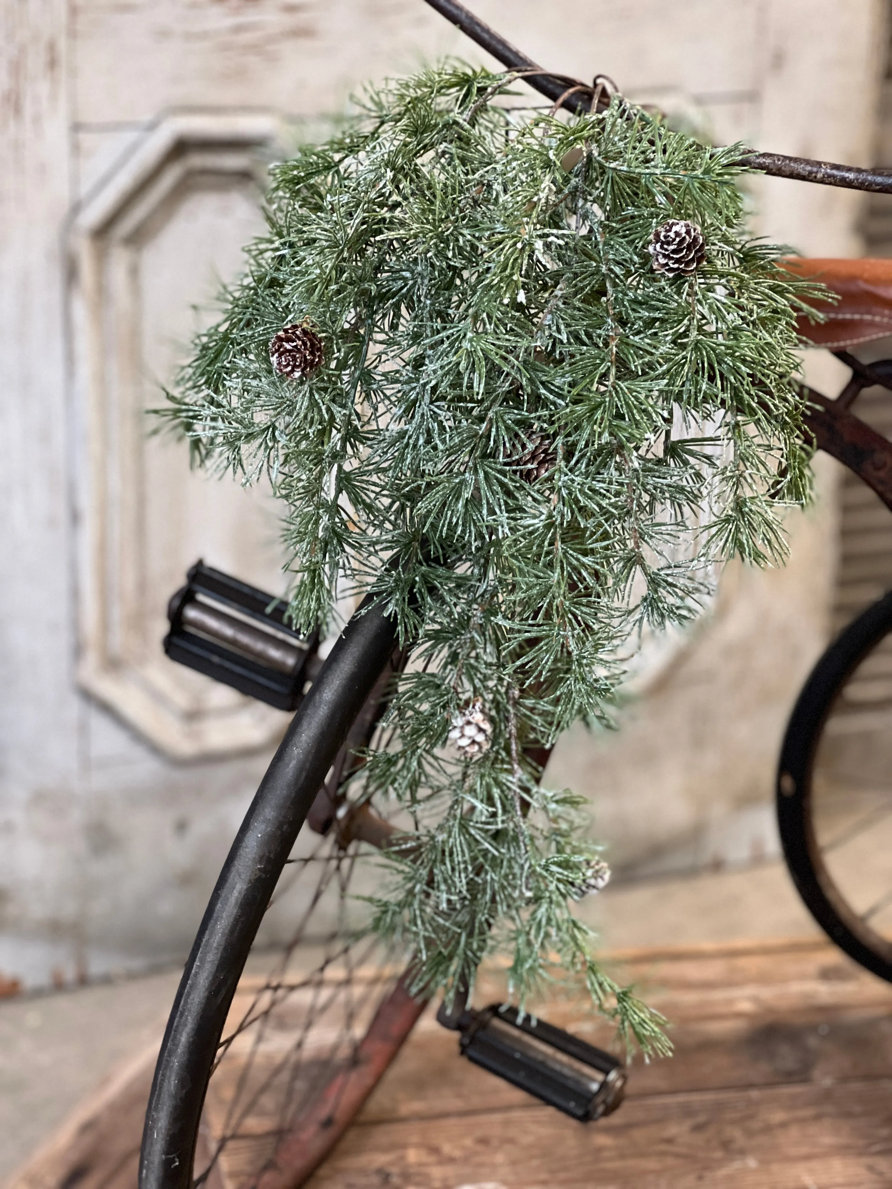 Shining Spindle Pine Hanging | 27"