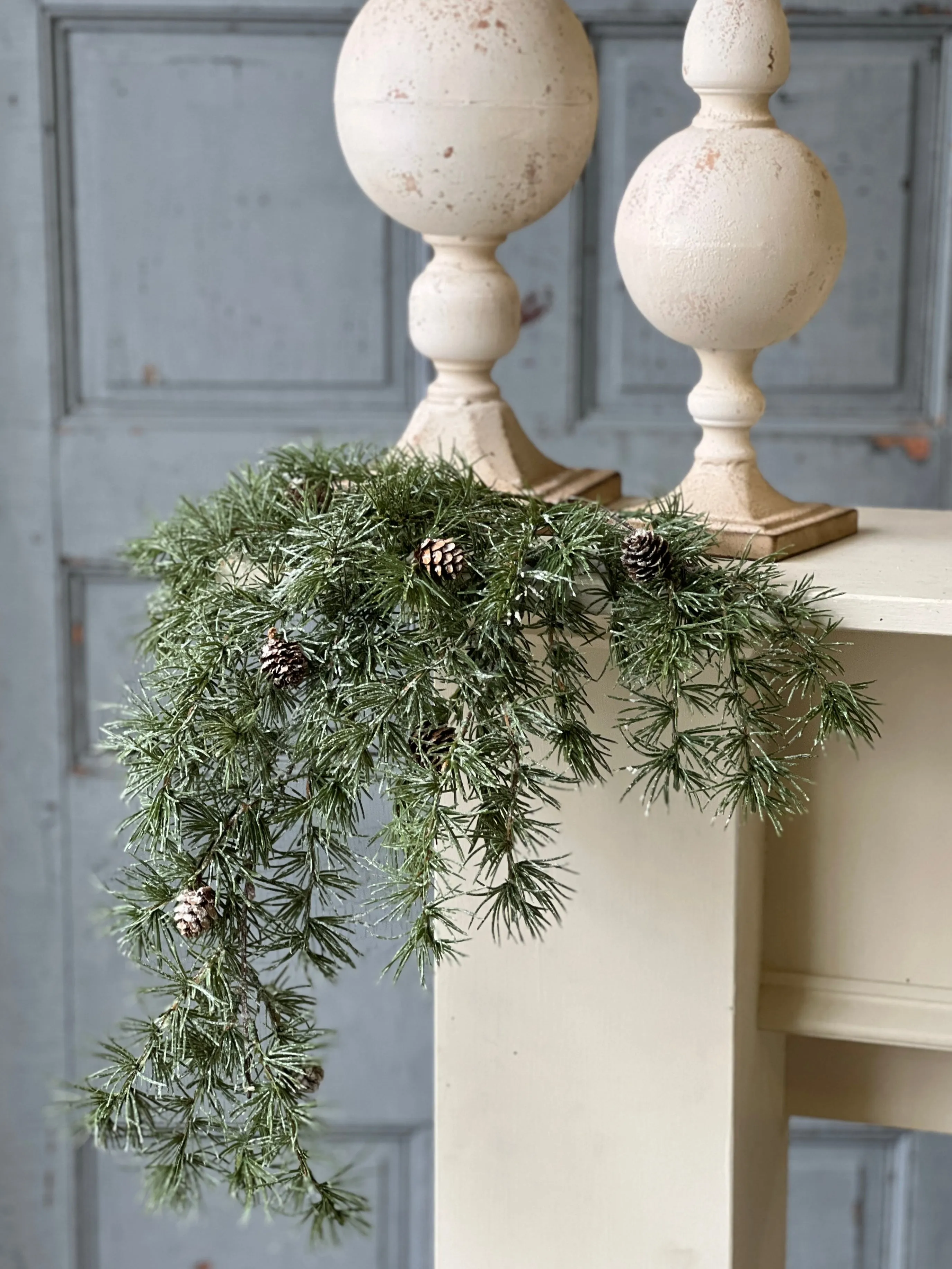 Shining Spindle Pine Hanging | 27"