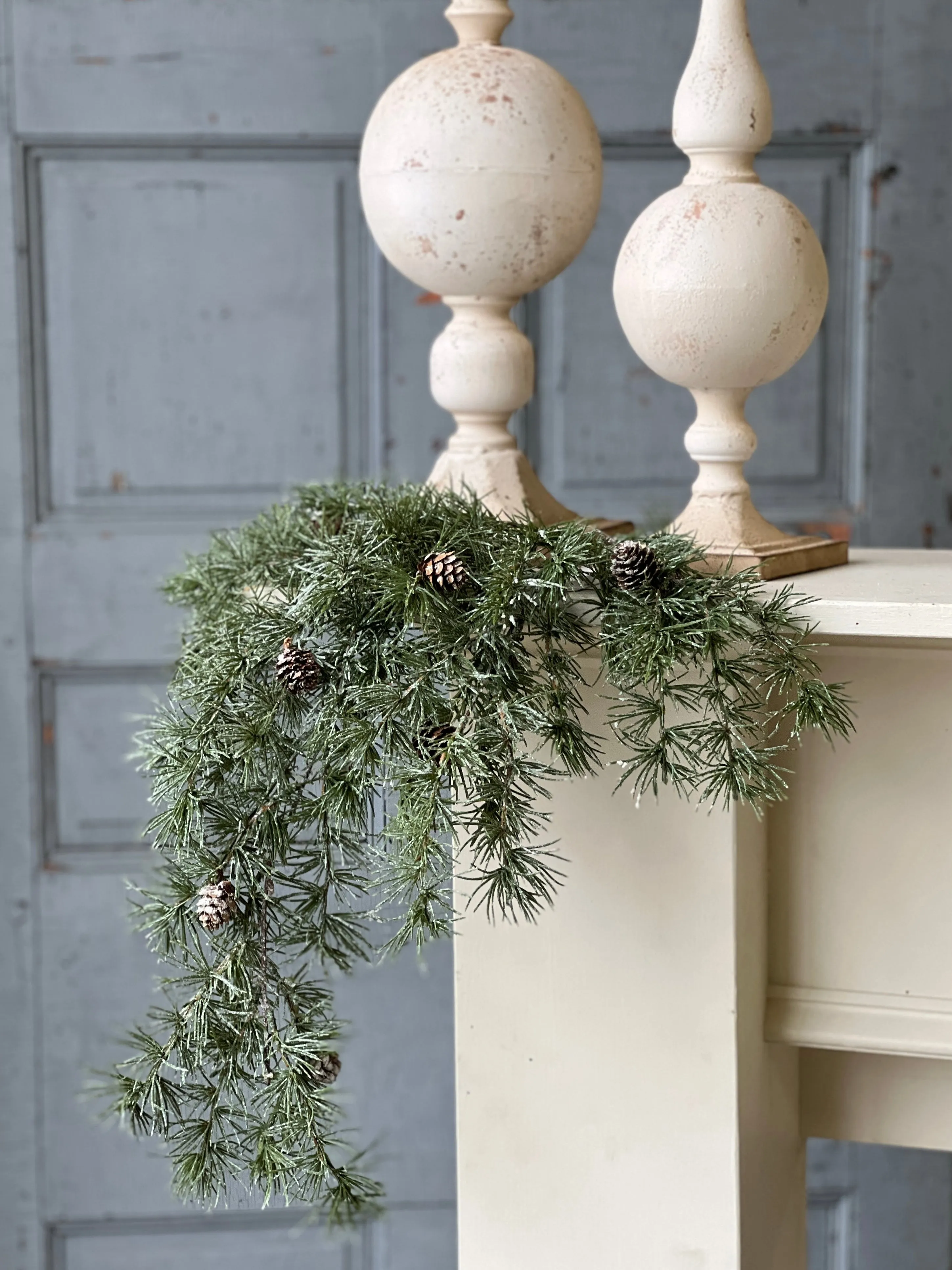 Shining Spindle Pine Hanging | 27"
