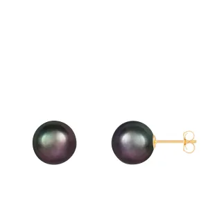 Splendid Pearls 9mm Pearl Stud Earrings