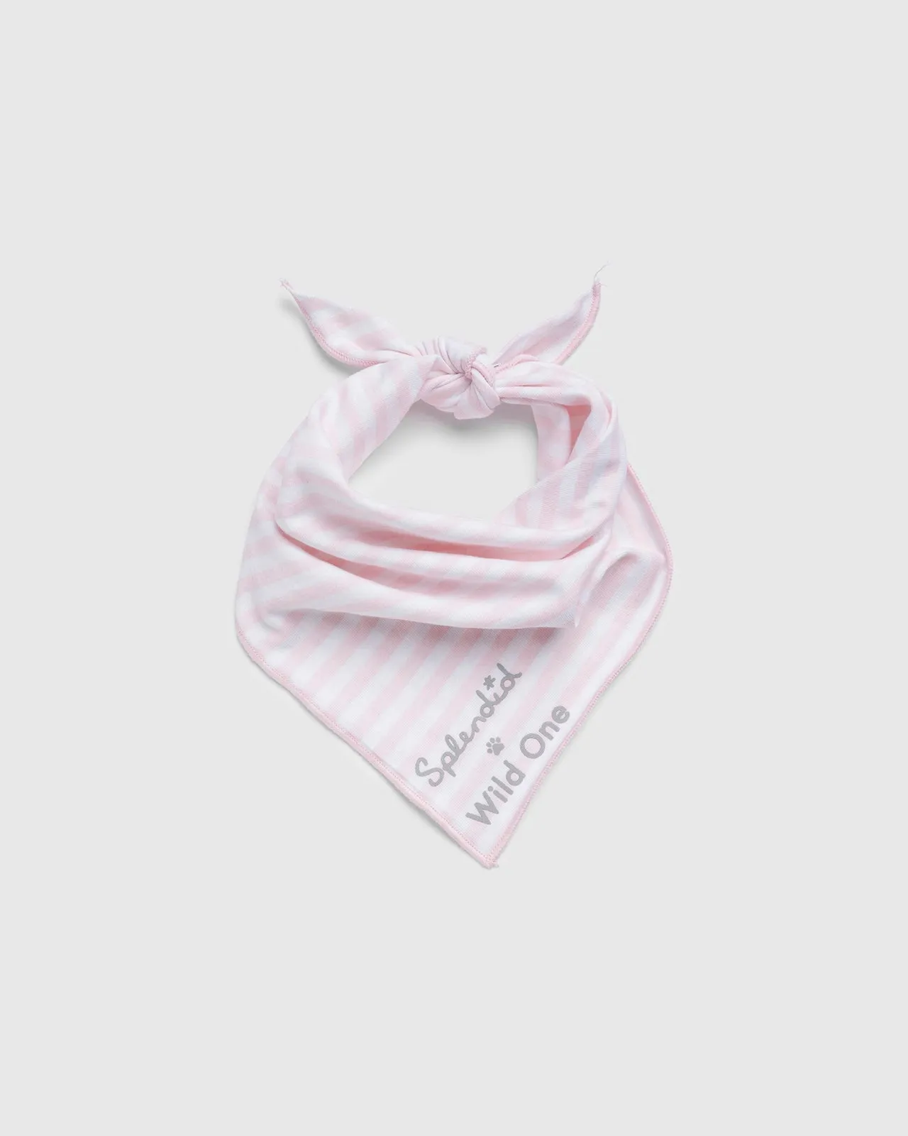 Splendid x Wild One Dog Bandana