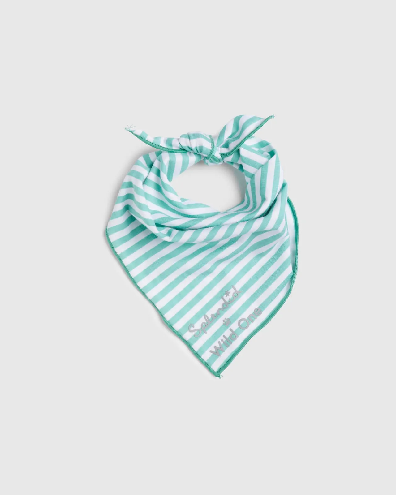 Splendid x Wild One Dog Bandana