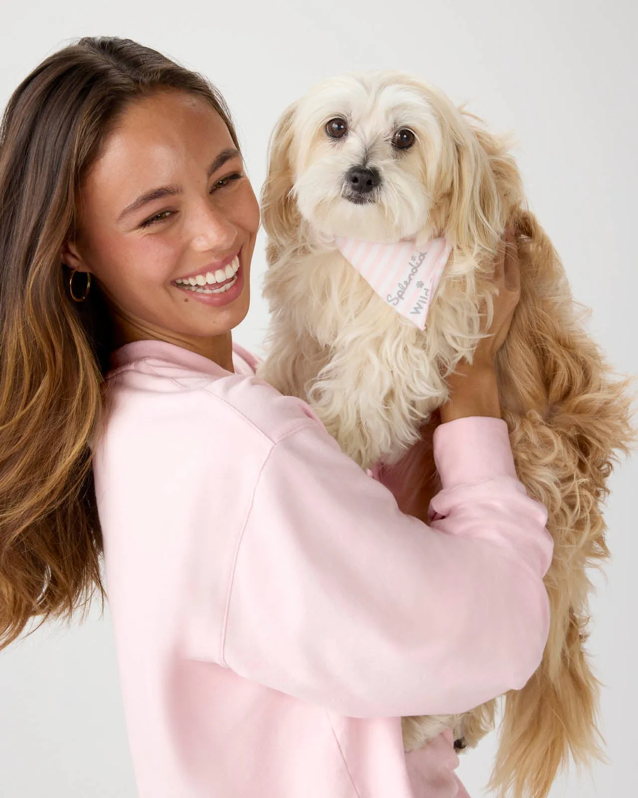 Splendid x Wild One Dog Bandana