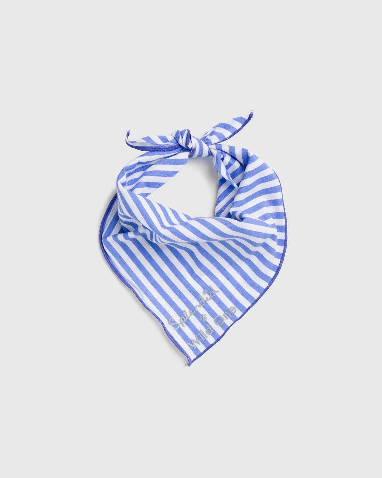 Splendid x Wild One Dog Bandana