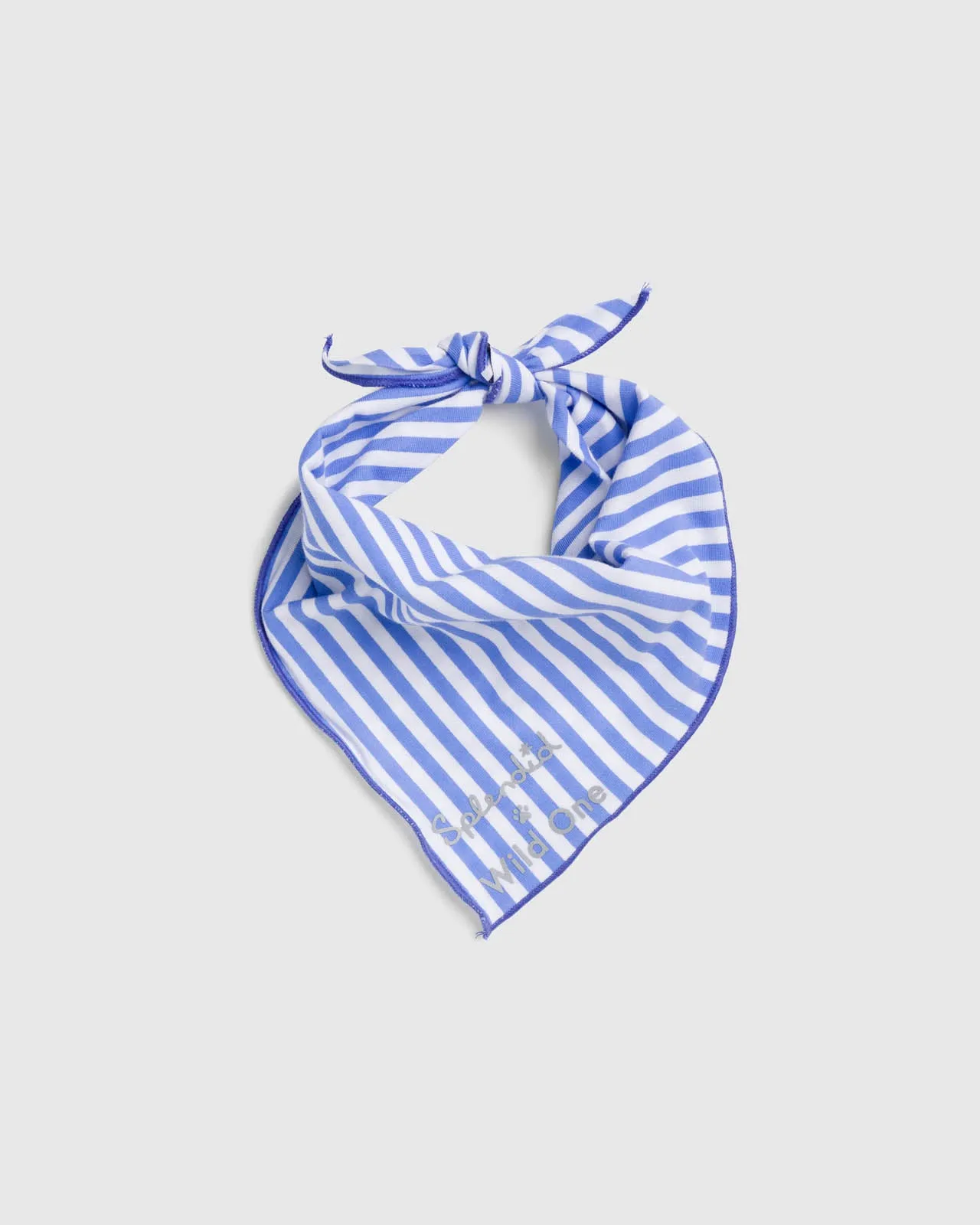 Splendid x Wild One Dog Bandana