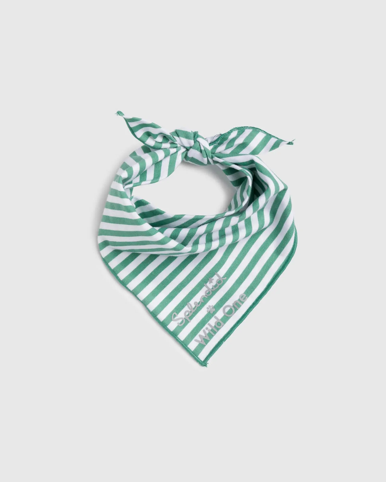 Splendid x Wild One Dog Bandana