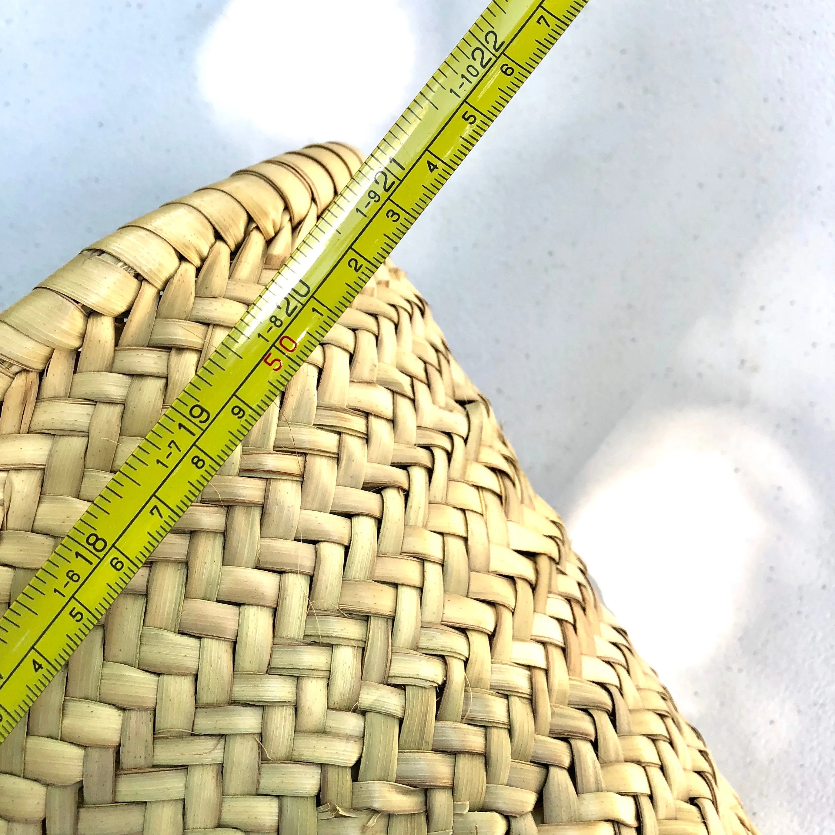 Woven Tote Bag with Braided Leather Handles